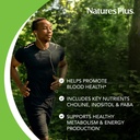 naturesplus-mega-b-150-complex-60-sustai-4.jpg