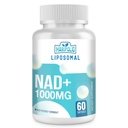 maripolio-liposomal-nad-1000-mg-suppleme-2.jpg