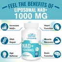 maripolio-liposomal-nad-1000-mg-suppleme-6.jpg