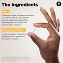 vital-vitamins-nad-supplement-nad-nicoti-5.jpg