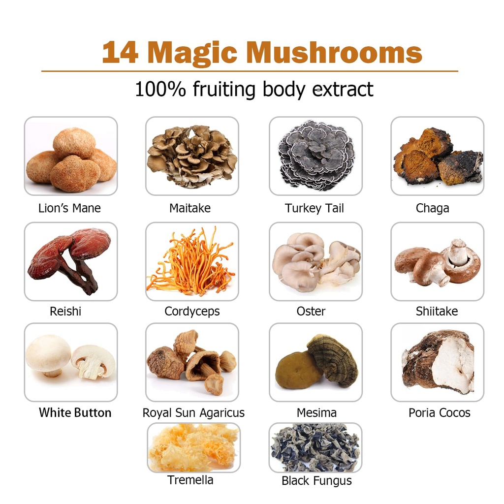 14-mushrooms-supplement-120-capsules-imm-3.jpg