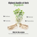 herbsforever-brahmi-bacopa-extra-strengt-6.jpg