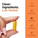 the-absorption-company-curcumin-supports-3.jpg