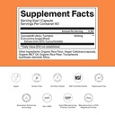 the-absorption-company-curcumin-supports-6.jpg