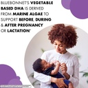 bluebonnet-nutrition-ladies-one-prenatal-3.jpg
