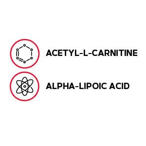 gnc-acetyl-l-carnitine-alpha-lipoic-acid-2.jpg