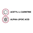 gnc-acetyl-l-carnitine-alpha-lipoic-acid-2.jpg