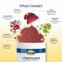 venoplus-8-beet-root-powder-nitric-oxide-4.jpg