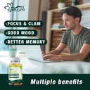 premium-hemp-gummies-high-potency-for-pa-5.jpg