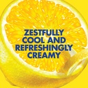 luna-bar-lemonzest-flavor-gluten-free-sn-6.jpg