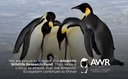 100-pure-organic-antarctic-krill-oil-100-5.jpg