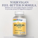 solaray-vegan-betaine-hcl-with-pepsin-hy-3.jpg