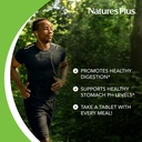 naturesplus-betaine-hydrochloride-600-mg-4.jpg