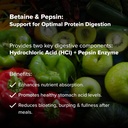 betaine-pepsin-by-dr-rajsree-md-supports-4.jpg