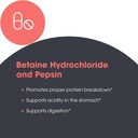 metabolic-maintenance-betaine-hcl-pepsin-5.jpg