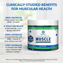biotrust-ageless-muscle-builder-creatine-5.jpg