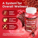 meenccd-red-yeast-rice-with-coq10-gummie-3.jpg