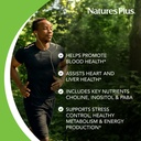 naturesplus-mega-b-100-complex-90-sustai-4.jpg