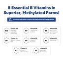 bioactive-vitamin-b-complex-blood-stream-3.jpg