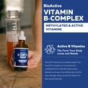 bioactive-vitamin-b-complex-blood-stream-2.jpg