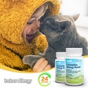 rxzell-allergy-relief-loratadine-10mg-18-6.jpg