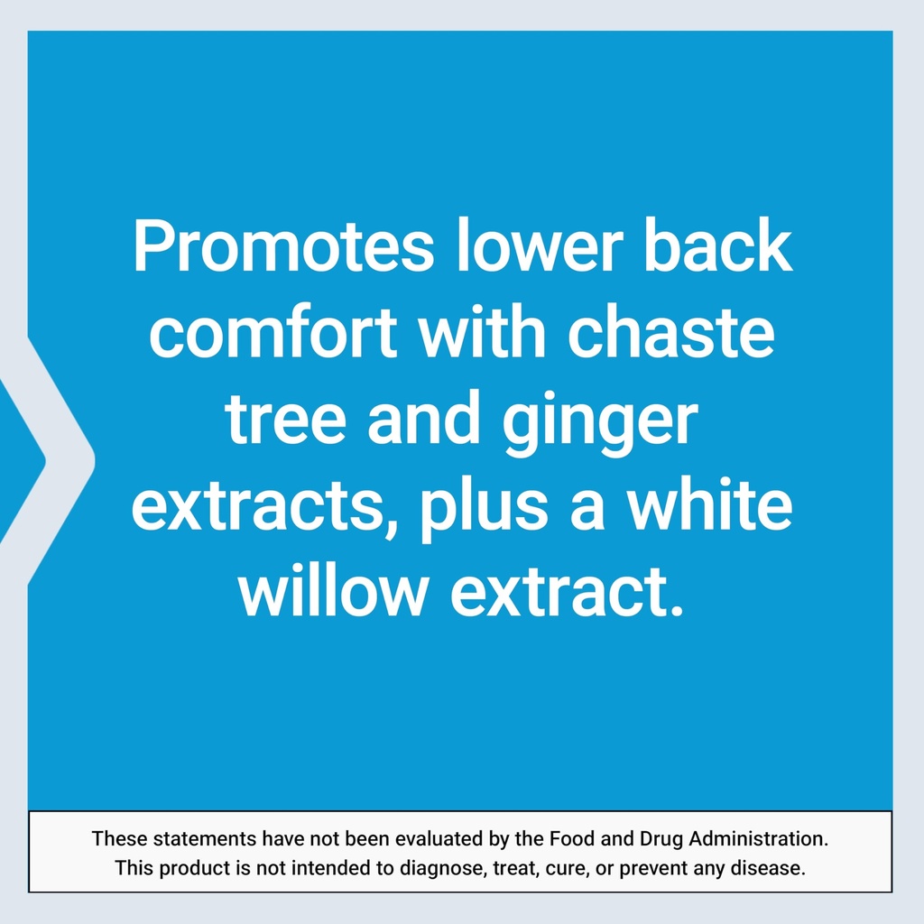 life-extension-lower-back-relief-for-occ-6.jpg