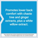 life-extension-lower-back-relief-for-occ-6.jpg