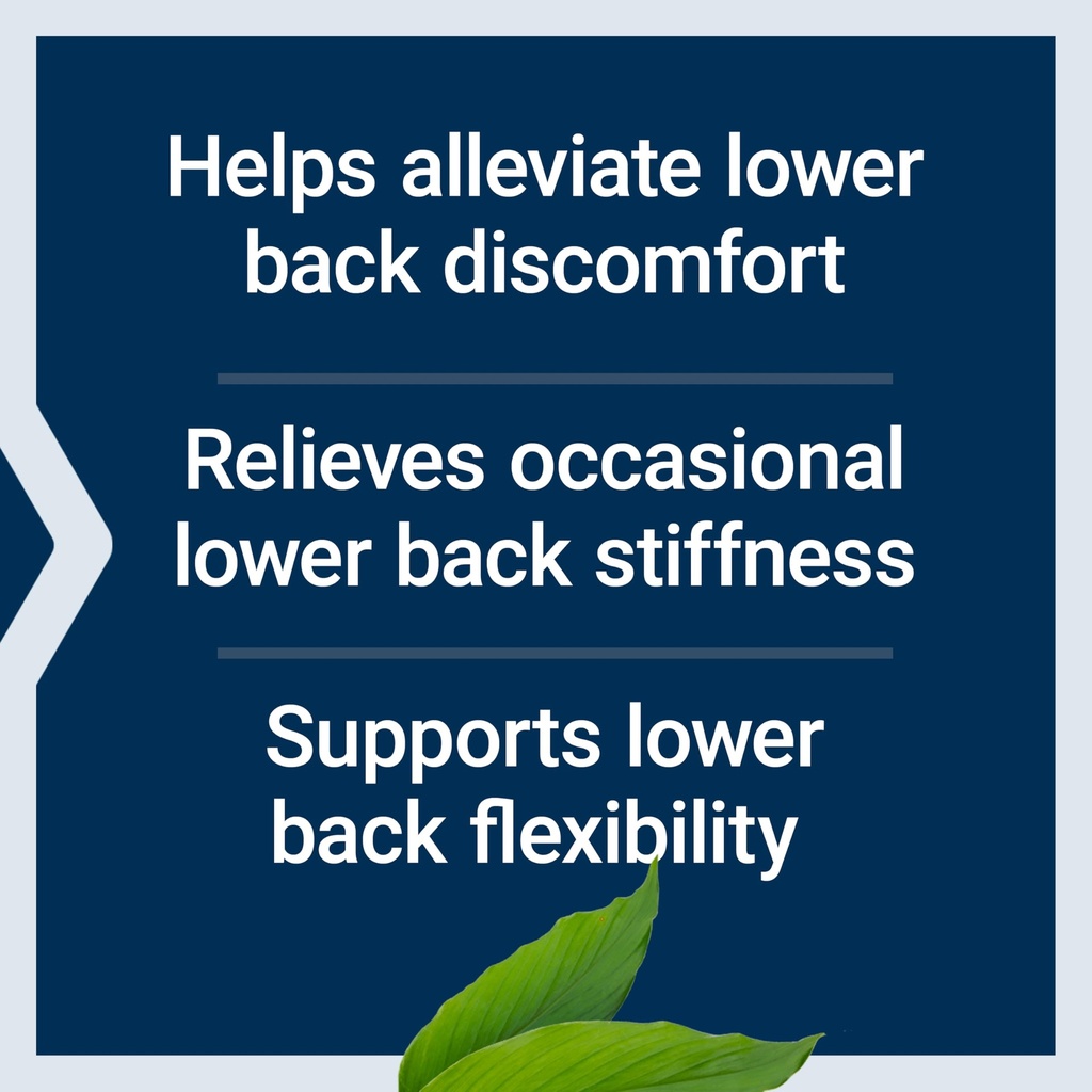 life-extension-lower-back-relief-for-occ-4.jpg