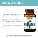 himalaya-guggul-extract-herbal-guggul-su-3.jpg