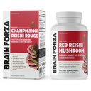 brain-forza-organic-red-reishi-mushroom--6.jpg