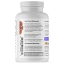 brain-forza-organic-red-reishi-mushroom--3.jpg