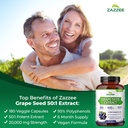 zazzee-herbal-b-pressure-support-bundle--5.jpg