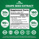zazzee-herbal-b-pressure-support-bundle--3.jpg
