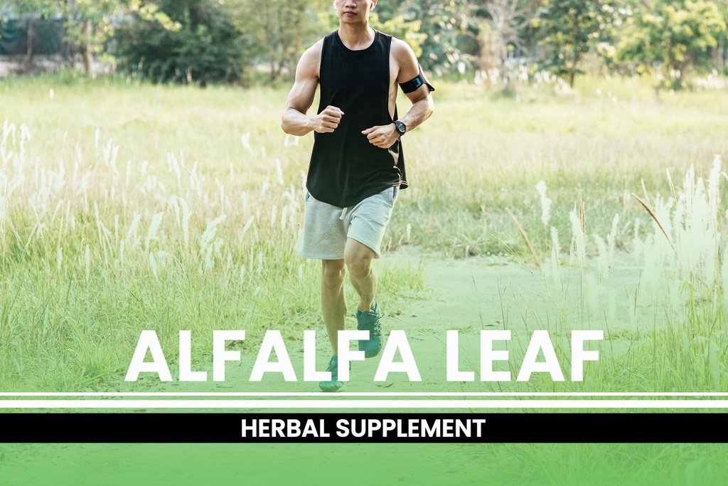 pure-original-ingredients-alfalfa-leaf-7-4.jpg