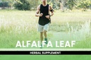 pure-original-ingredients-alfalfa-leaf-7-4.jpg
