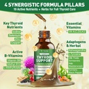 totaria-thyroid-support-for-women-men-se-3.jpg