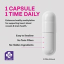 md-life-l-methylfolate-15-mg-supplement--4.jpg