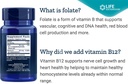 life-extension-bioactive-folate-vitamin--3.jpg