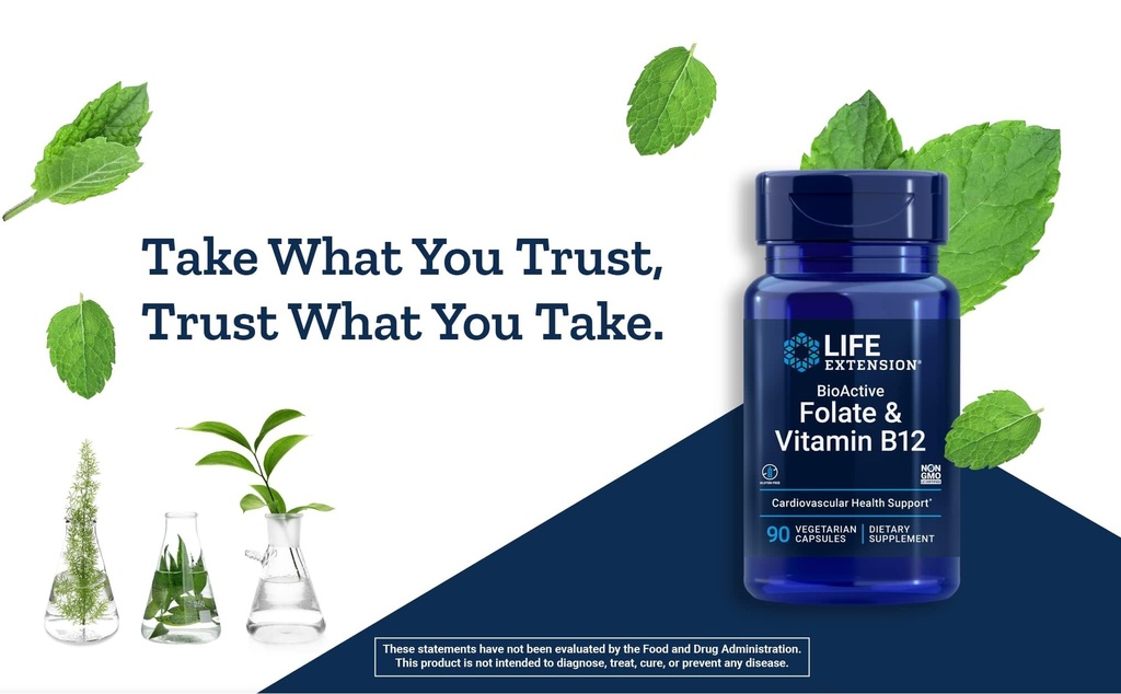 life-extension-bioactive-folate-vitamin--6.jpg