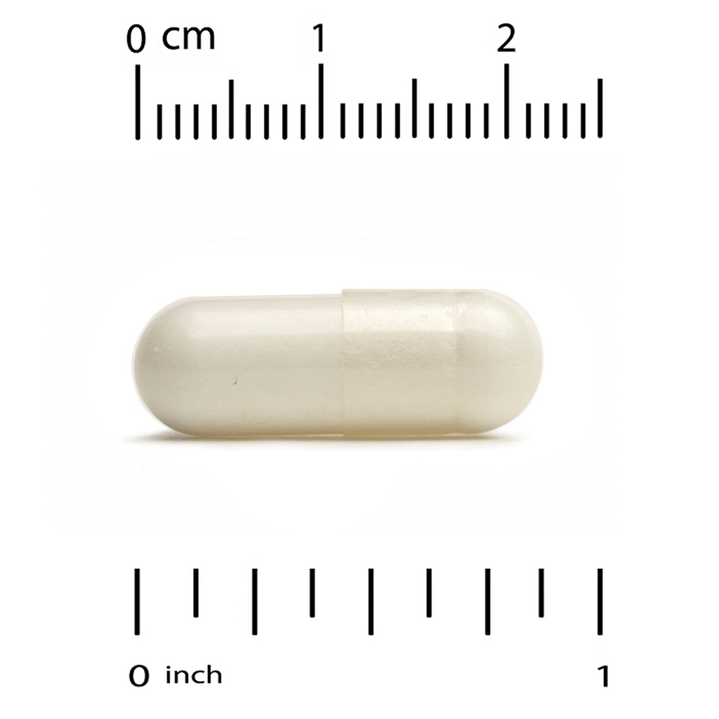 california-gold-nutrition-bacopa-extract-3.jpg