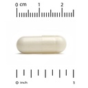 california-gold-nutrition-bacopa-extract-3.jpg