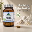 pure-mountain-botanicals-bacopa-monnieri-5.jpg