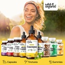 wild-organic-bacopa-monnieri-supplement--5.jpg