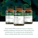 gaia-herbs-pro-bacopa-brain-health-nootr-6.jpg