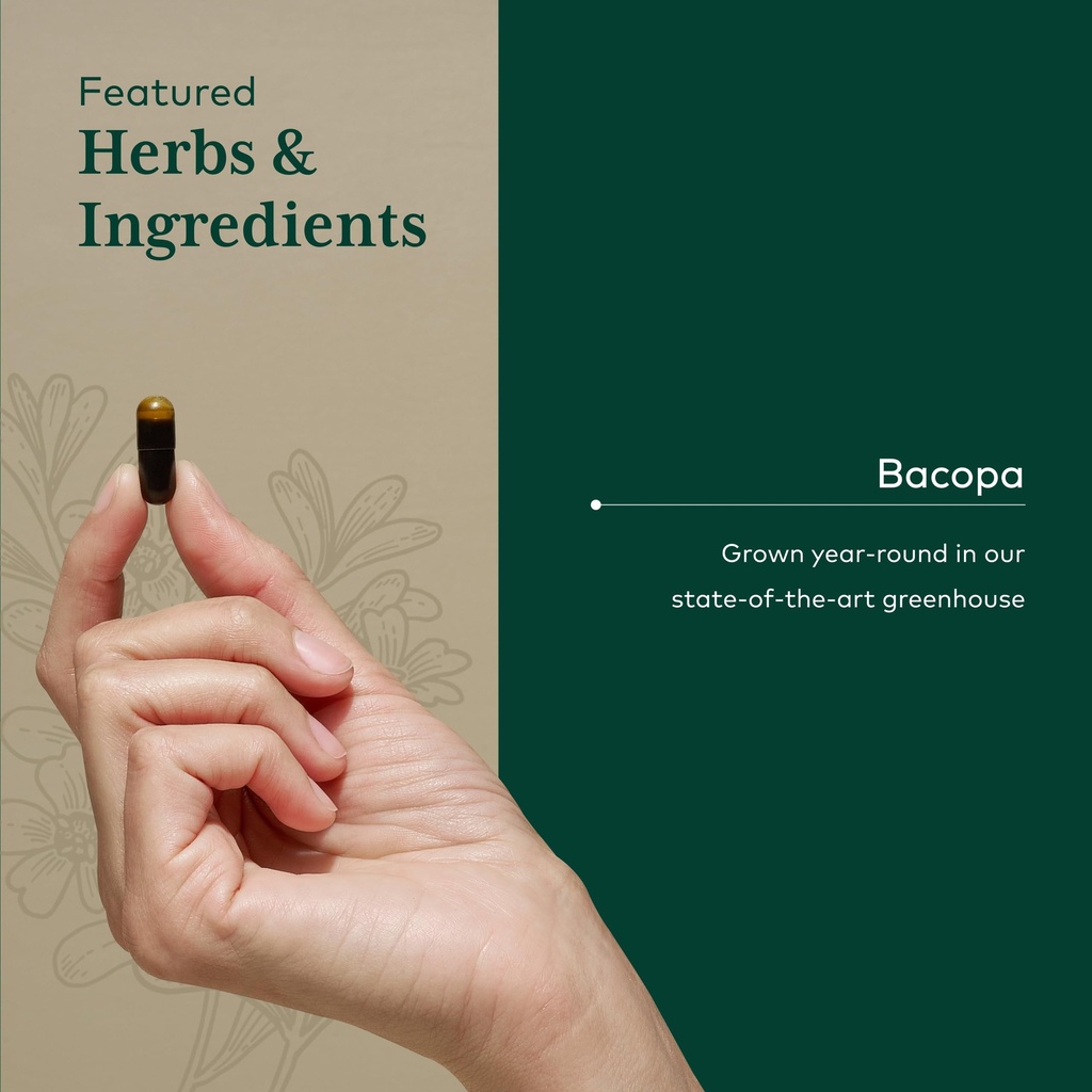 gaia-herbs-pro-bacopa-brain-health-nootr-4.jpg