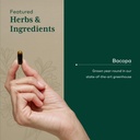 gaia-herbs-pro-bacopa-brain-health-nootr-4.jpg