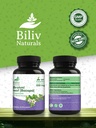 bacopa-supplement-bacopa-monnieri-brain--2.jpg