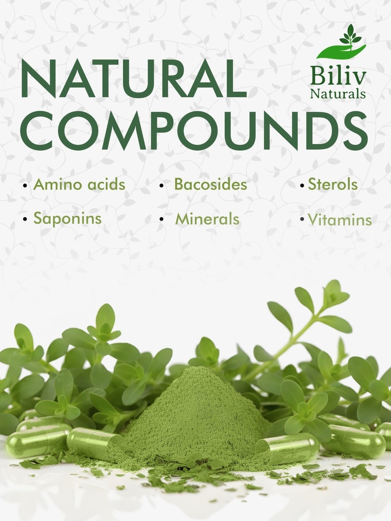 bacopa-supplement-bacopa-monnieri-brain--4.jpg