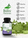 bacopa-supplement-bacopa-monnieri-brain--5.jpg