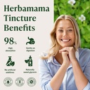 herbamama-bacopa-monnieri-supplement-veg-5.jpg